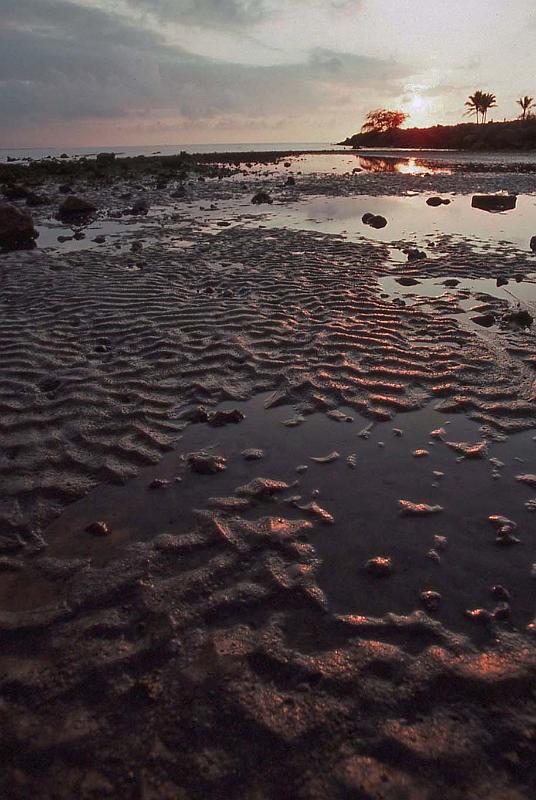 WT 0040 T05-33 Hawaii.jpg